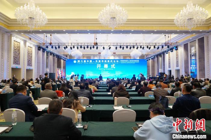 第六届中国—东盟传统医药论坛在桂林举行