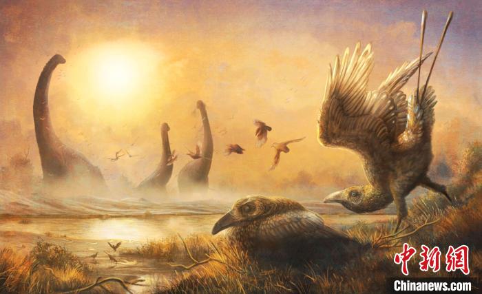晚白垩纪马达加斯加该种新的乌鸦大小鸟类与非鸟类恐龙和其他生物在一起的景象艺术想像图(图片来自Mark Witton)。自然科研 供图