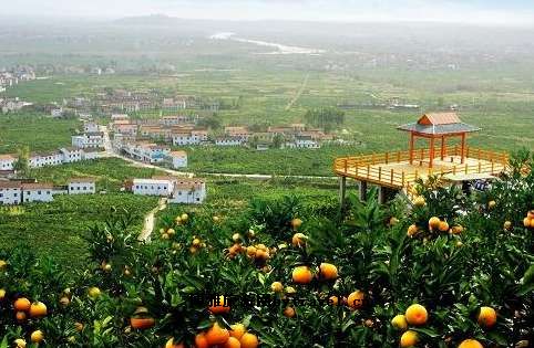 城固县桔园景区：中国柑桔生态观光第一园
