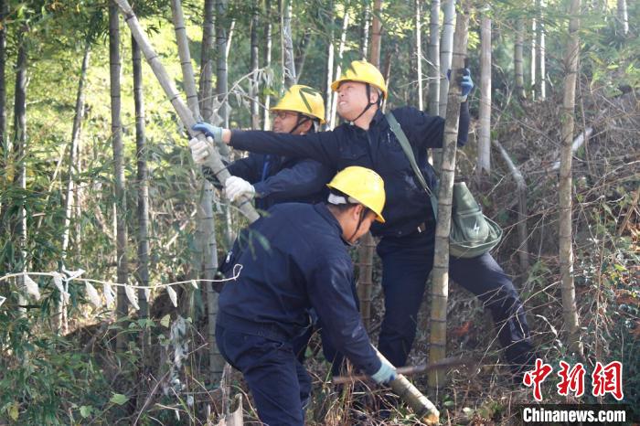 为确保电网安全运行，建宁县供电部门运行维护人员进行户外特巡，清除线路走廊周边的毛竹、树枝。供图