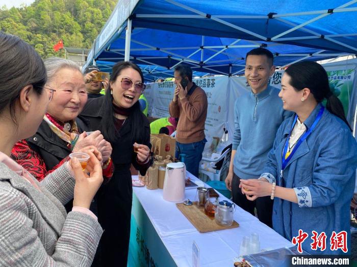 童启庆(左二)与茶农交流。　钱晨菲 摄