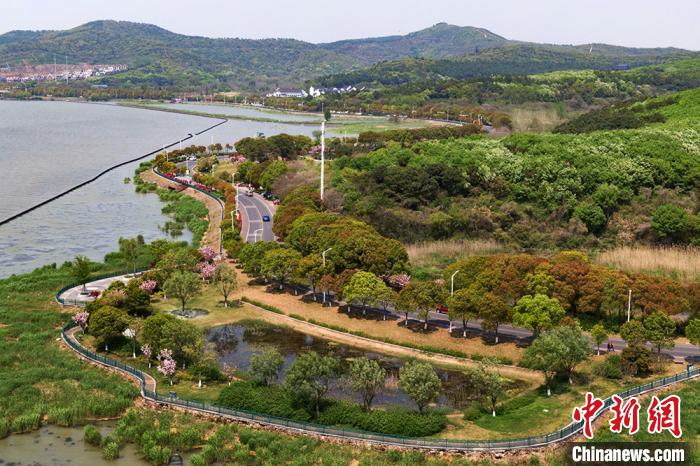 江苏武进太湖湾旅游度假区地处常州东南、太湖西北角，湖岸线长约7.8公里。　泱波 摄