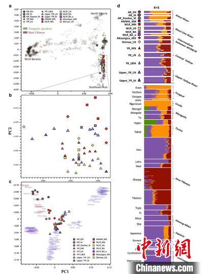 中国北方古代人群遗传结构分析。　宁超 摄