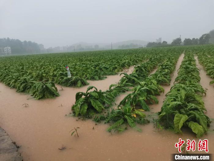 湖南江华县遭遇洪水袭击16个乡镇超10万人受灾