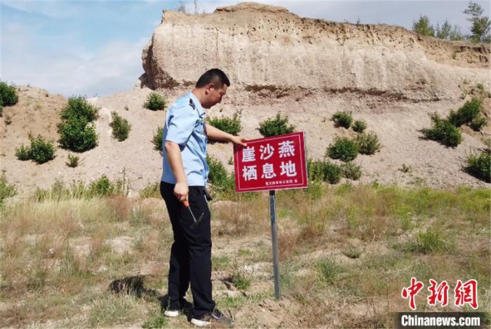 图为民警树立崖沙燕栖息地宣传标牌。　李富 摄