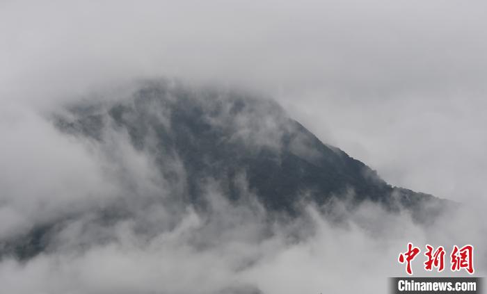 图为重庆金佛山雨雾缭绕的壮观景象好似一幅绝美水墨画。　周毅 摄