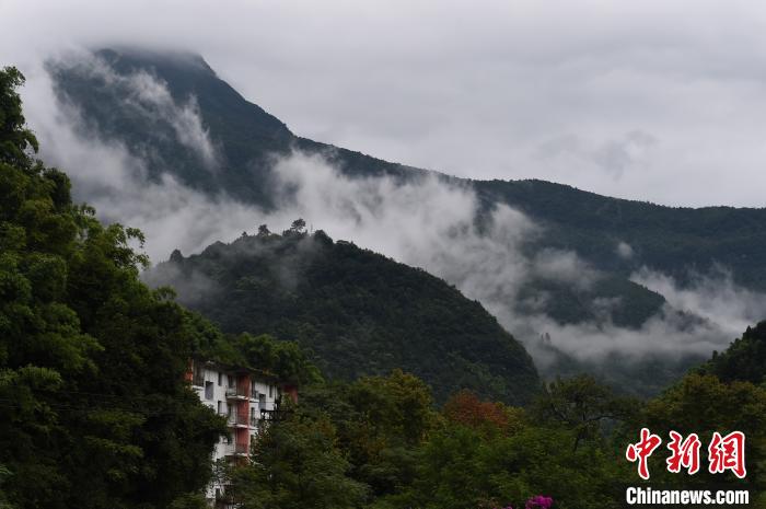 图为重庆金佛山雨雾缭绕宛如仙境。　周毅 摄