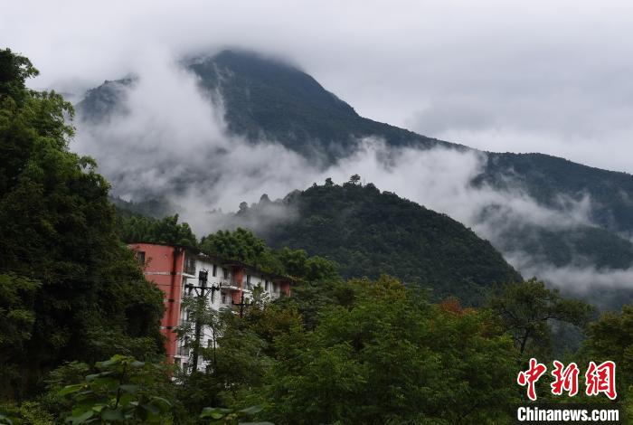 重庆金佛山雨雾缭绕宛如一幅水墨画