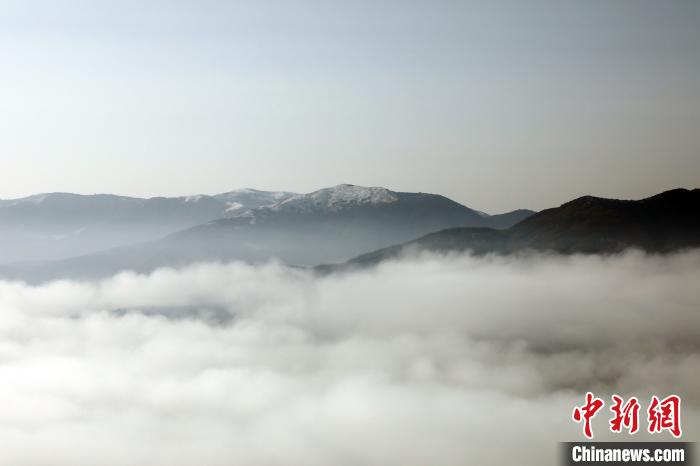 图为云海与远处的“雪山”同框。　魏建军 摄