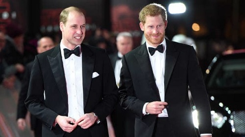 威廉王子（左）和哈里王子