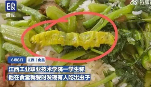 网曝江西工业职业技术学院有同学在饭里吃出了大青虫