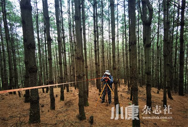 科技赋能“粮库”，共绘绿色“丰”景——四川省林科院科研团队助推四川天府森林粮库建设